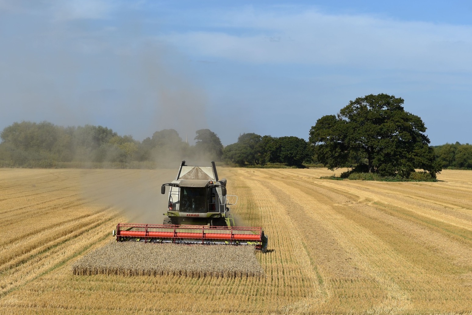 Tories: Farmers will have to stump up hundreds of thousands of pounds