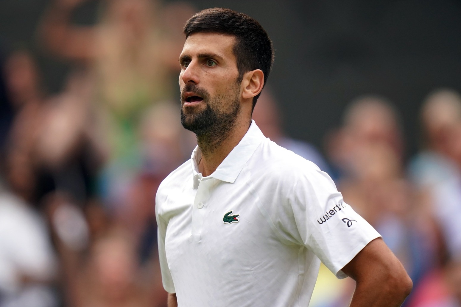 Novak Djokovic set for knee surgery which will rule him out of Wimbledon 