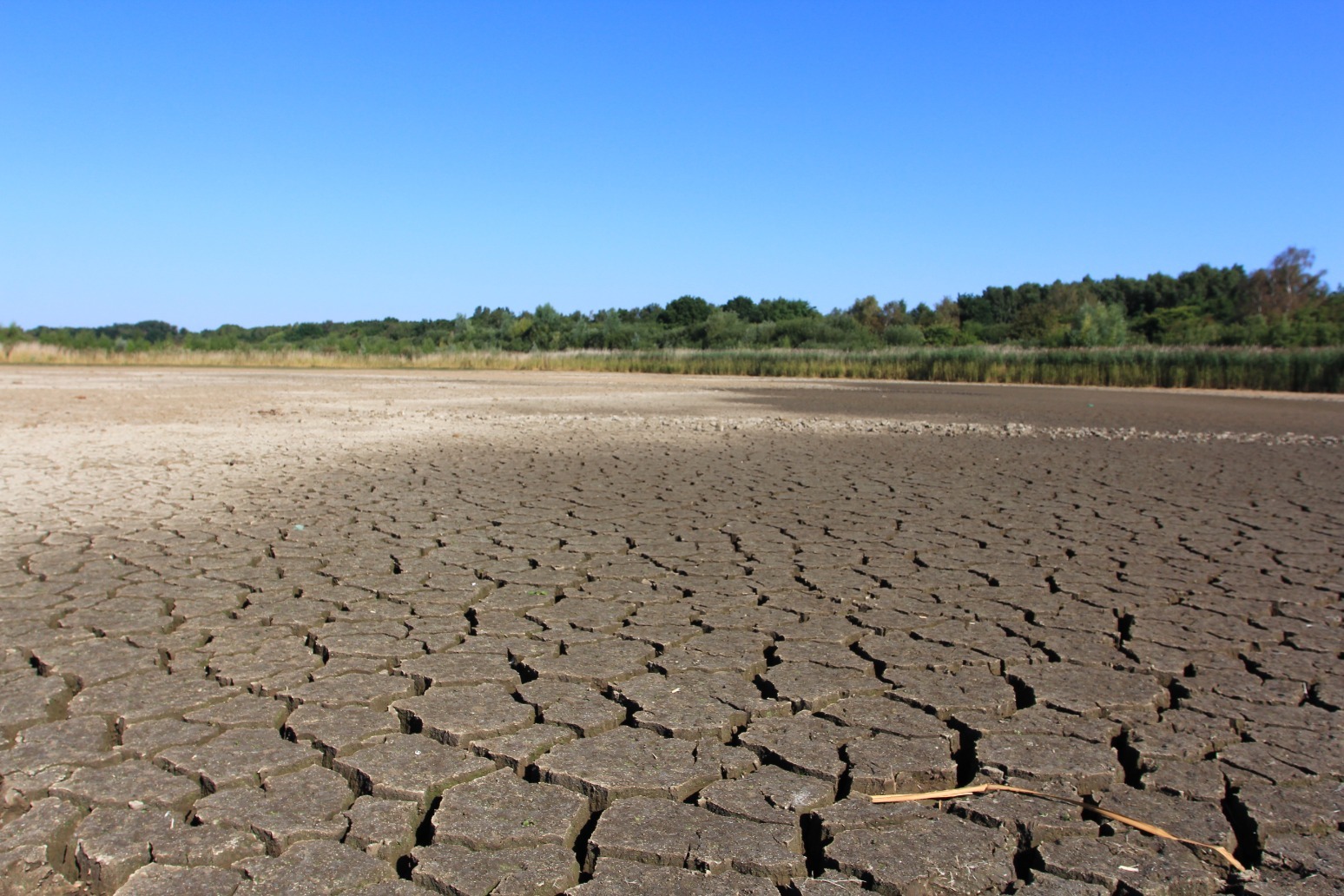 Drought is top threat for UK nature refuges as climate changes, charities warn 