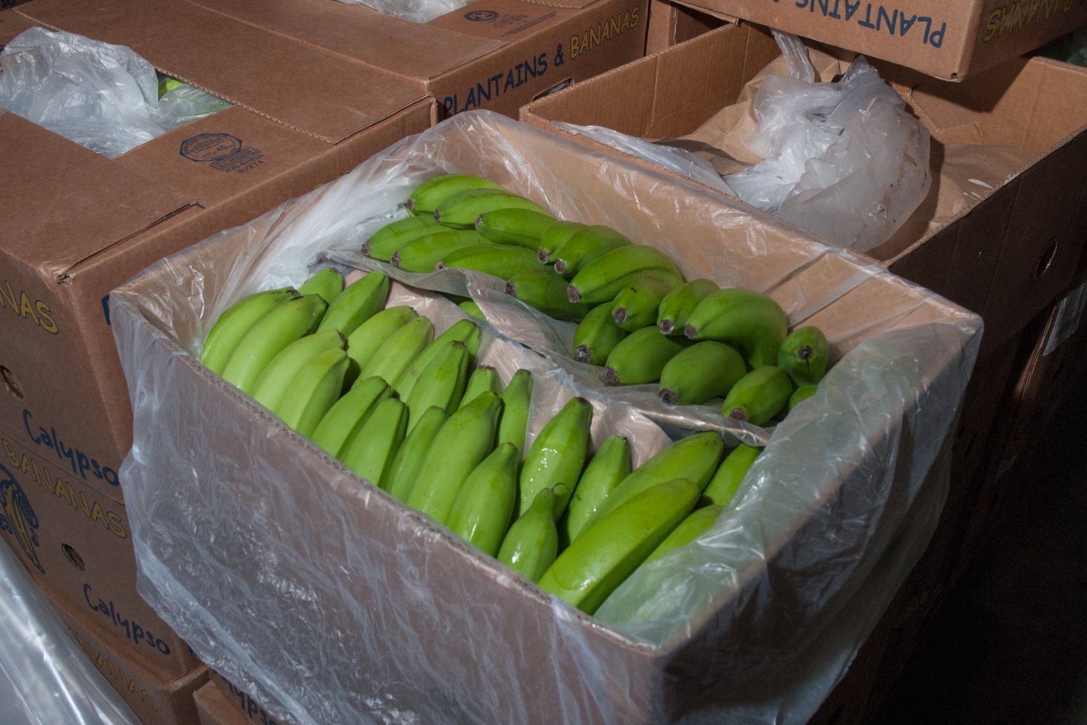 Ringleader of plot to smuggle £76m of cocaine into UK hidden in bananas jailed 