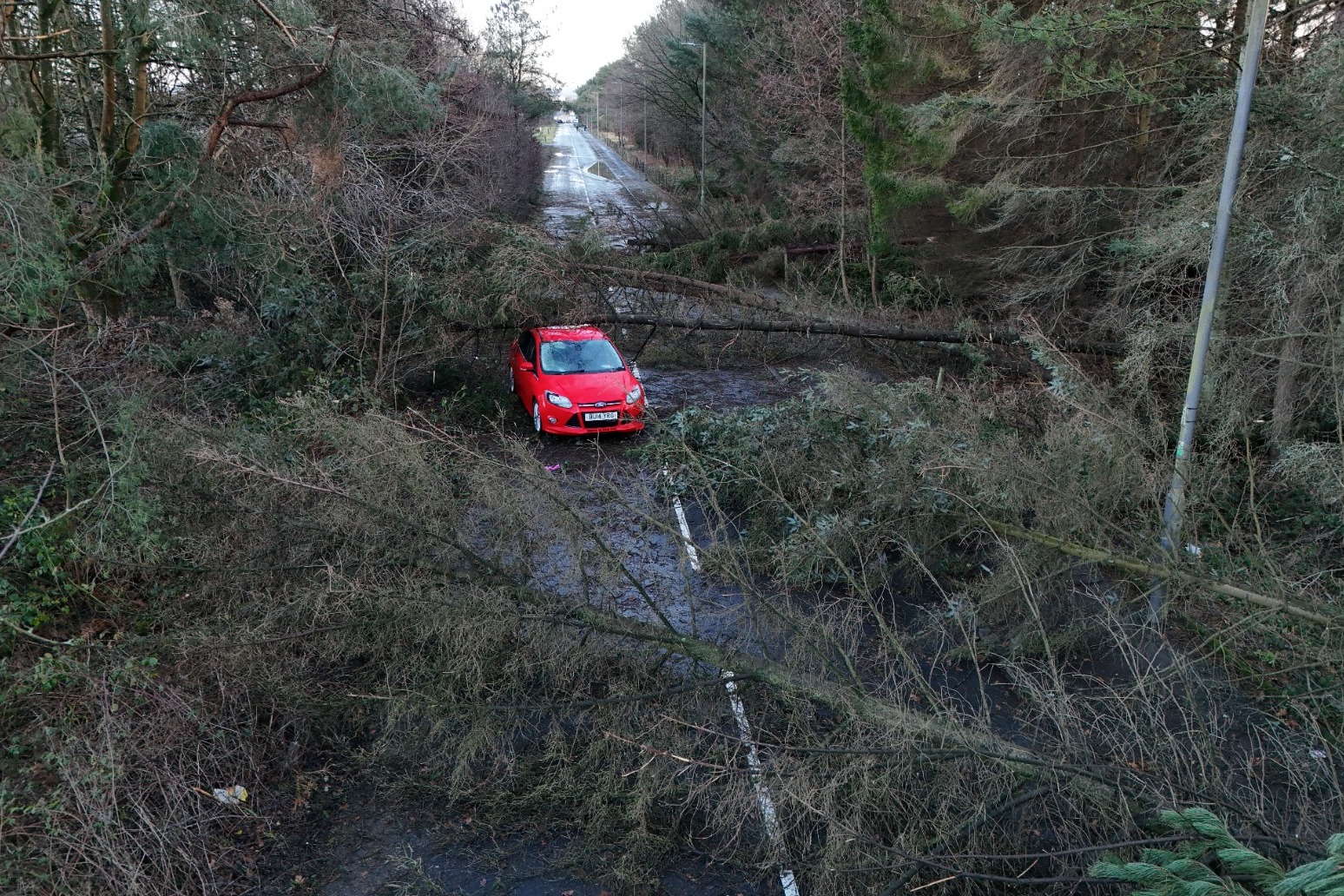 101,000 remain without power in Northern Ireland after Storm Eowyn 